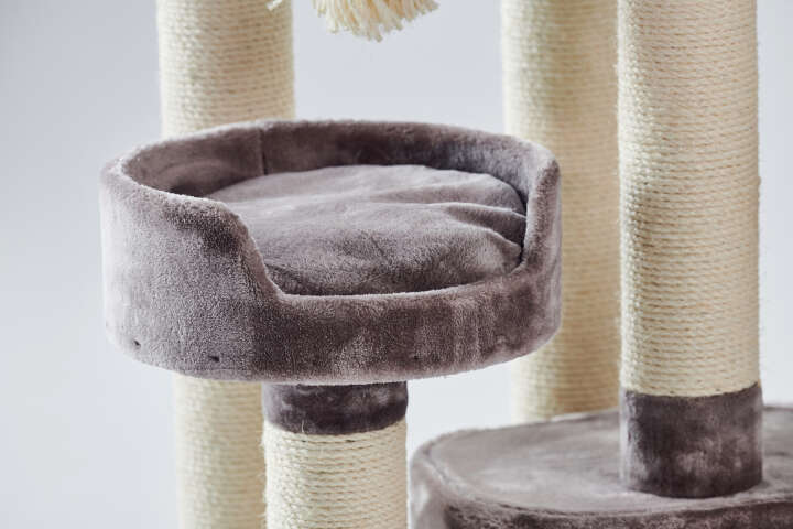 Nobby Kratzbaum Kyla